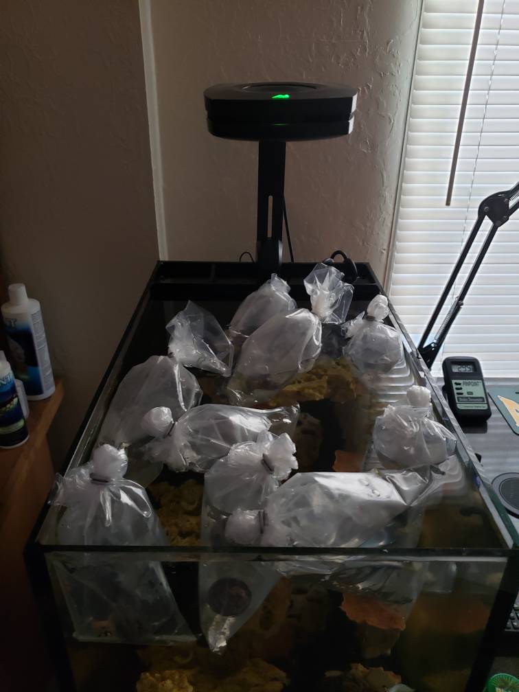 20190425_152012.jpeg