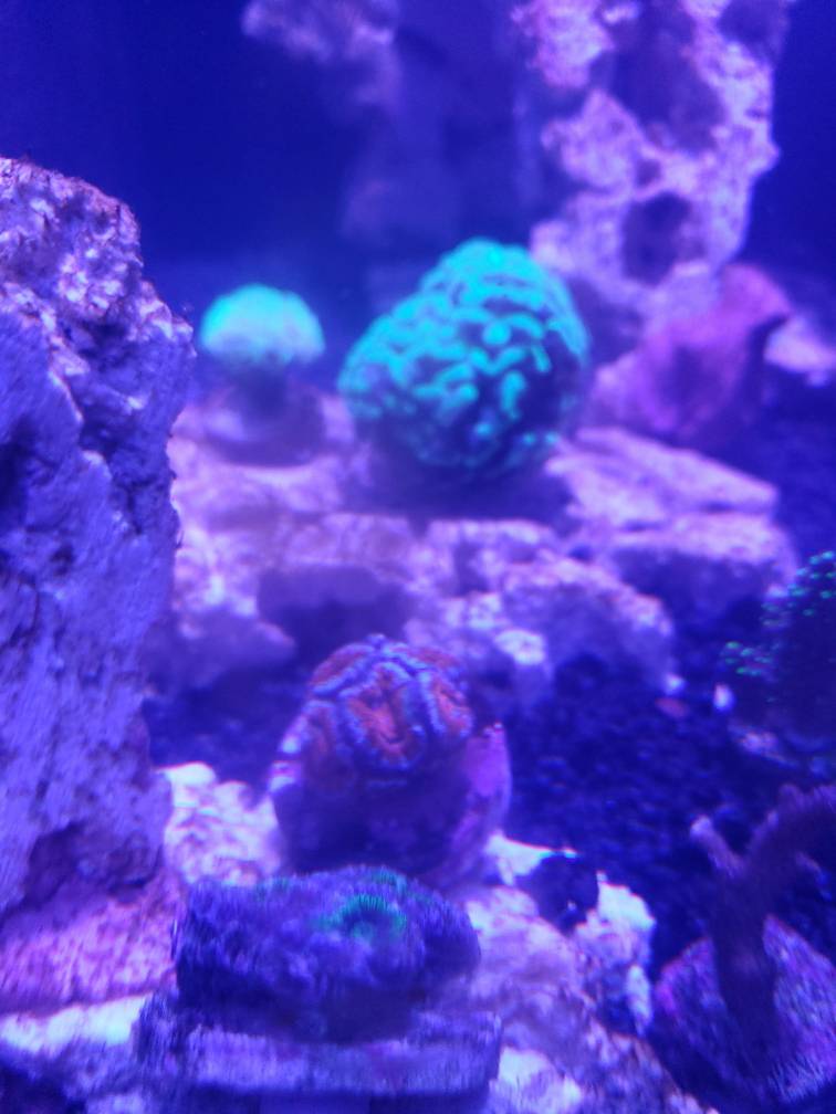 20190425_215031.jpeg