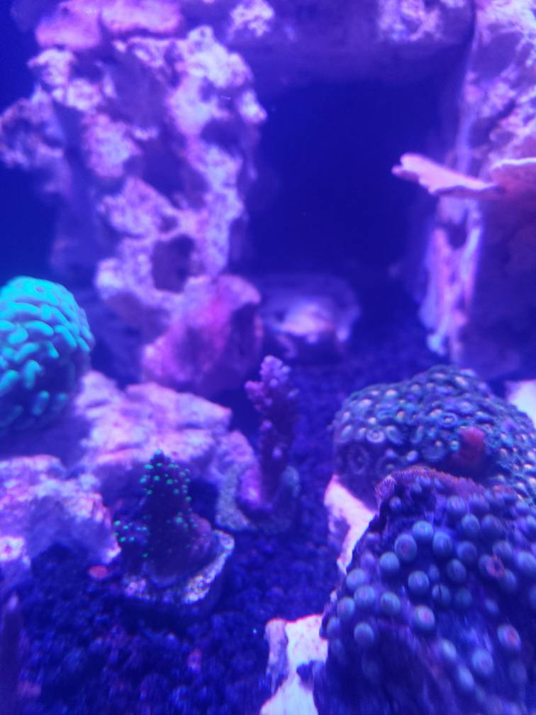 20190425_215116.jpeg