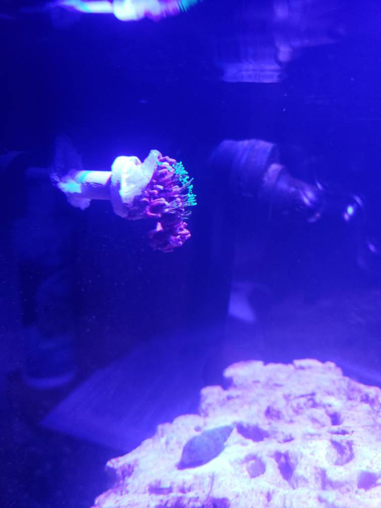 20190425_215406.jpeg