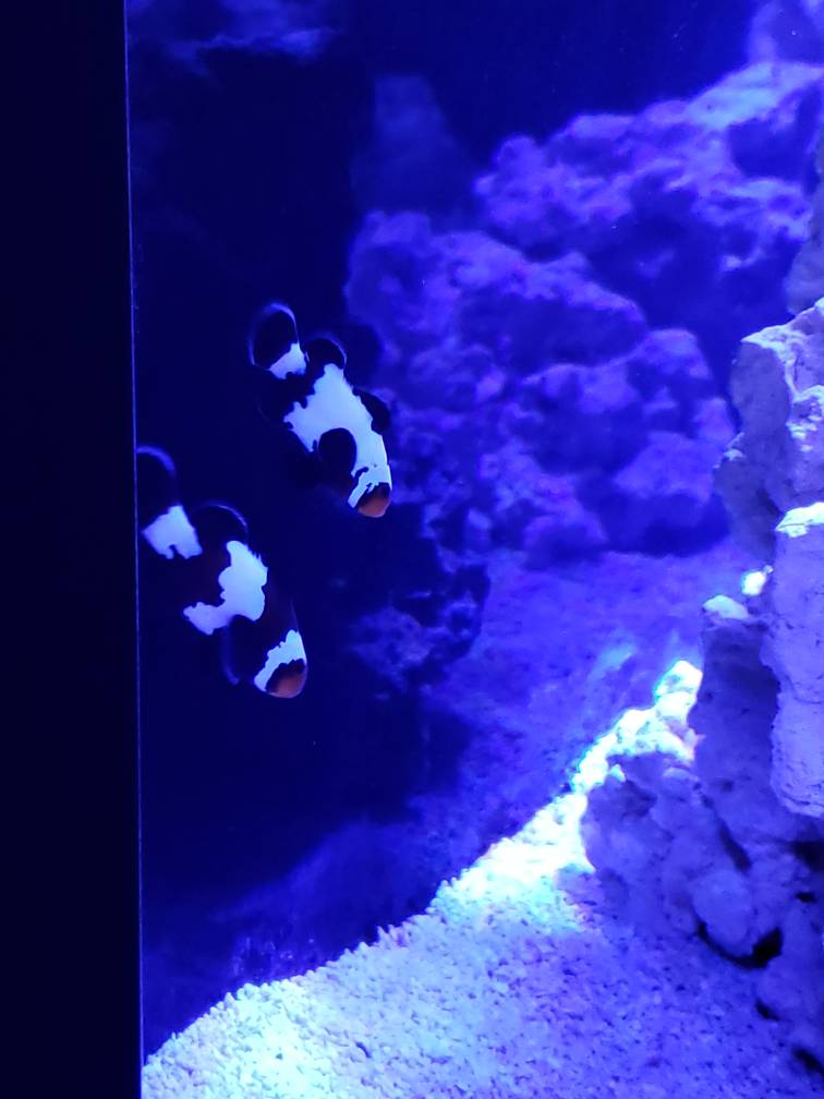 20190426_192939.jpeg
