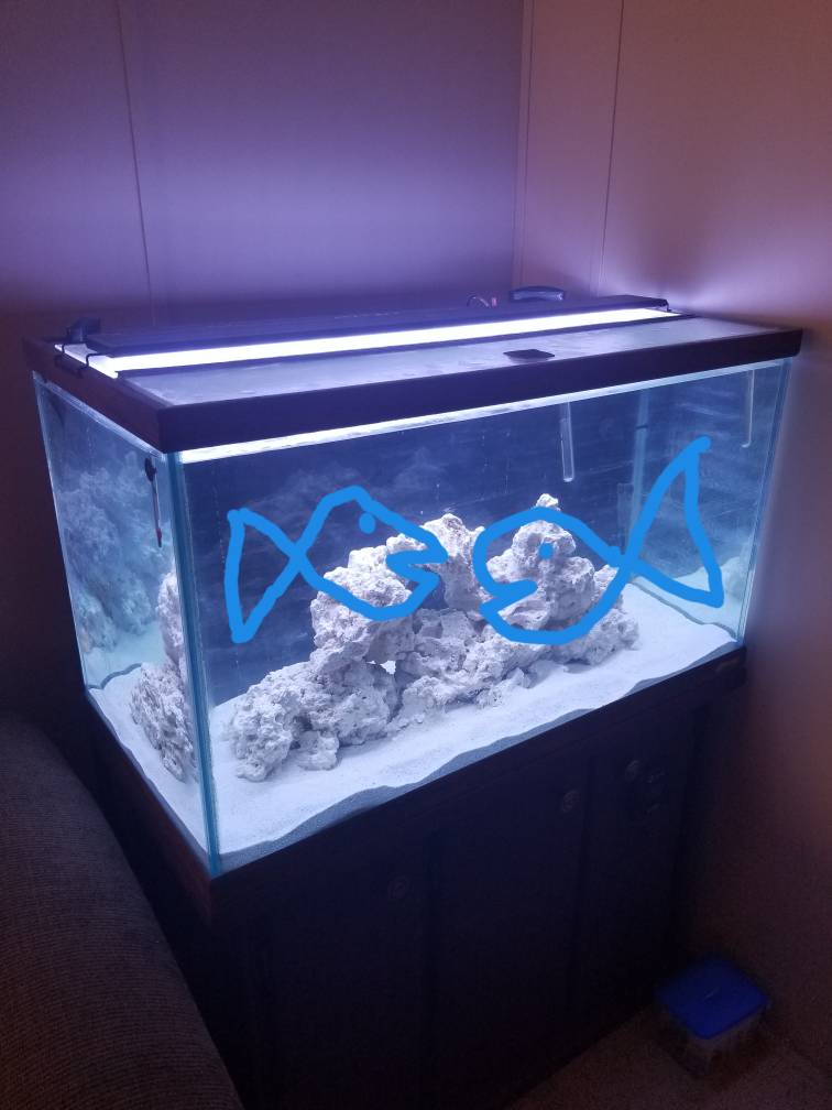 20190426_193542.jpeg