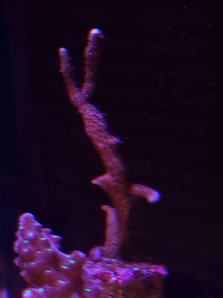 20190427_233012-01.jpeg