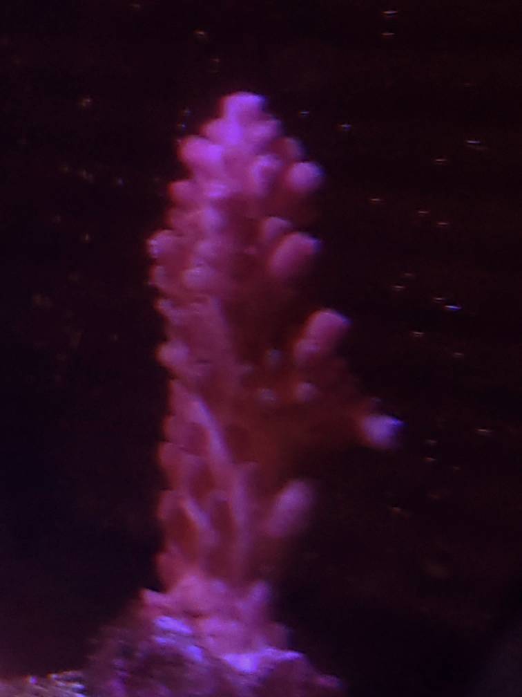 20190427_233024-01.jpeg