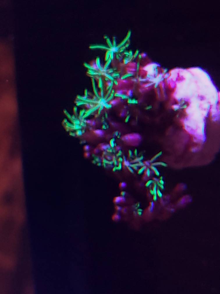 20190427_233028-01.jpeg