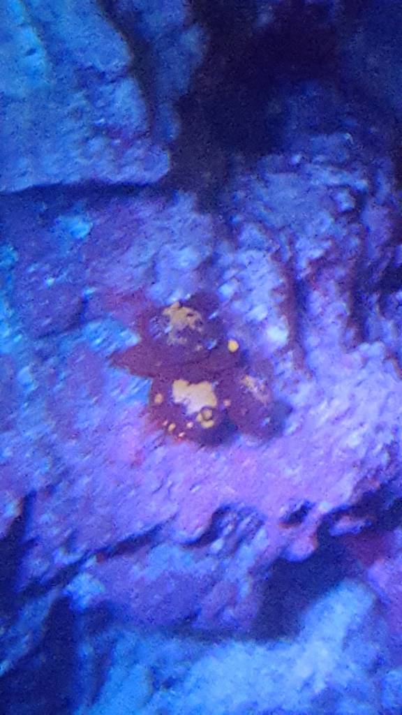 20190502_235647.jpeg