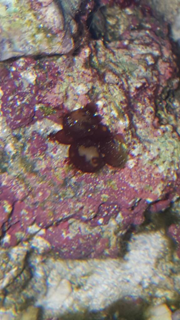 20190502_235713.jpeg