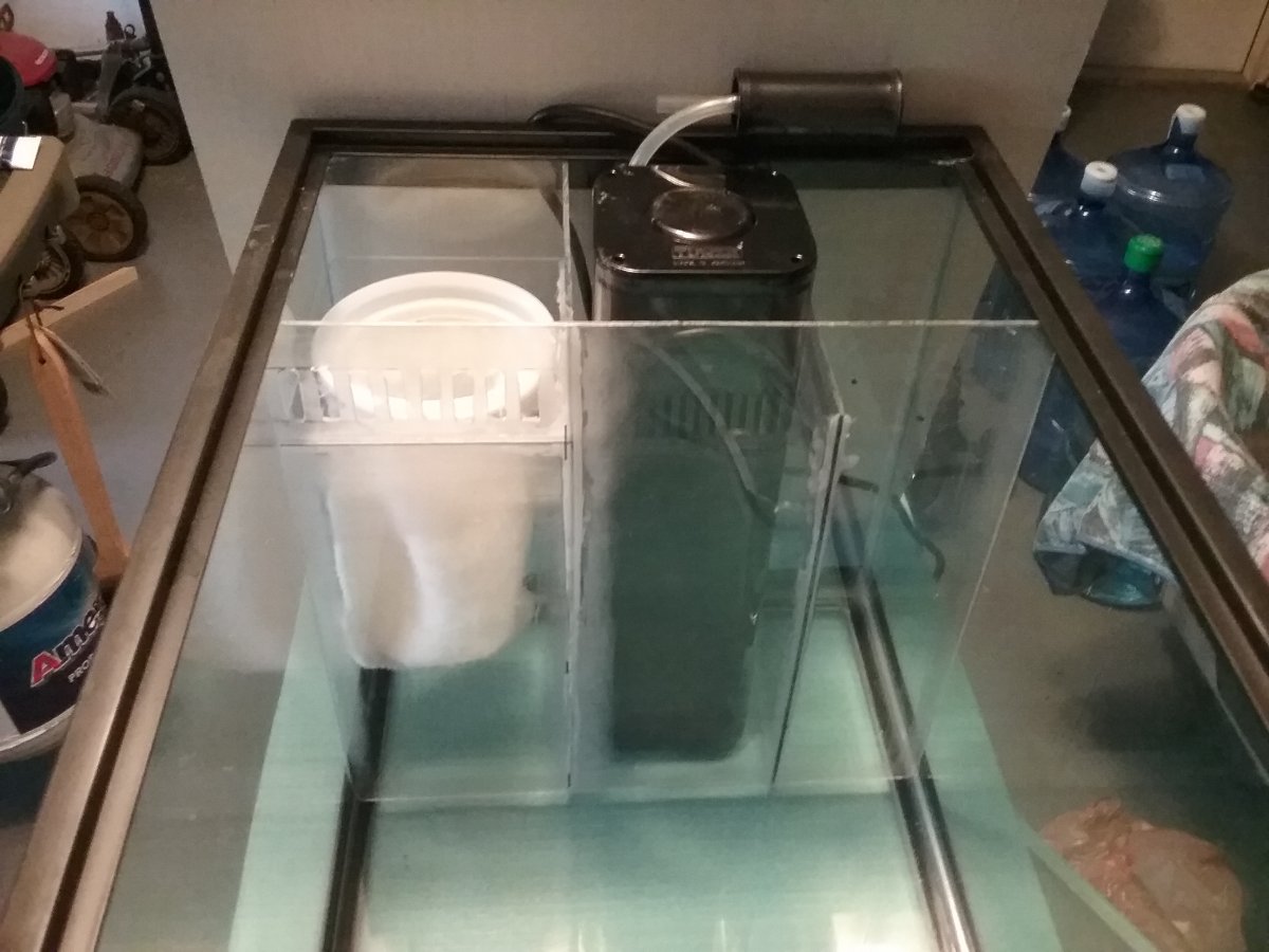 20190503_201233.jpg