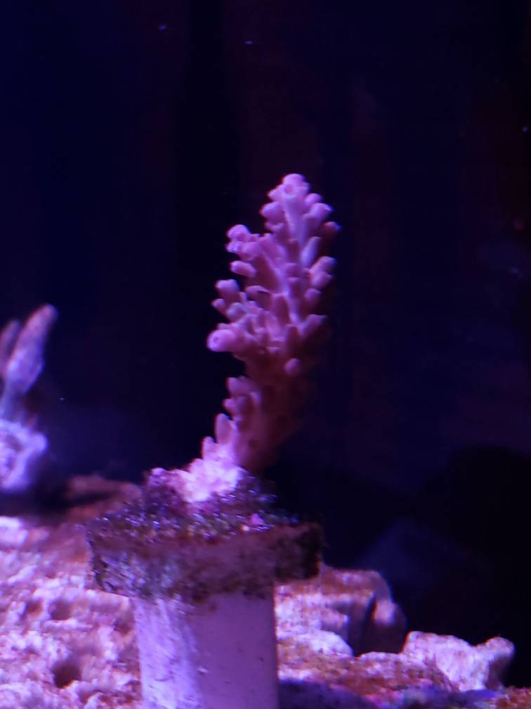 20190503_213643.jpeg