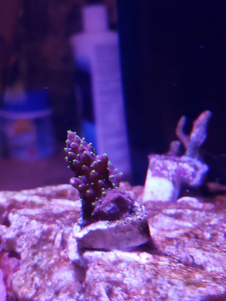 20190503_213702.jpeg
