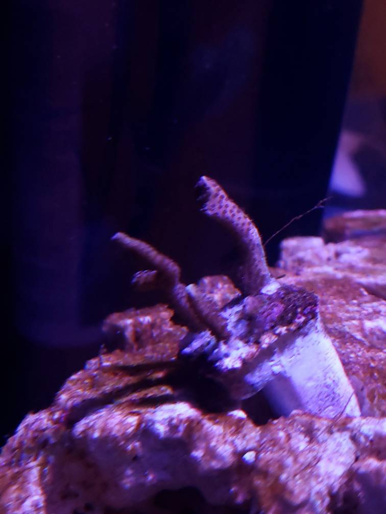 20190503_213959.jpeg