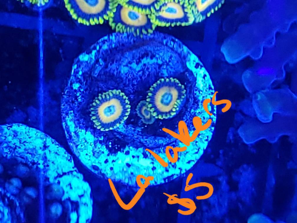 20190504_164155.jpeg