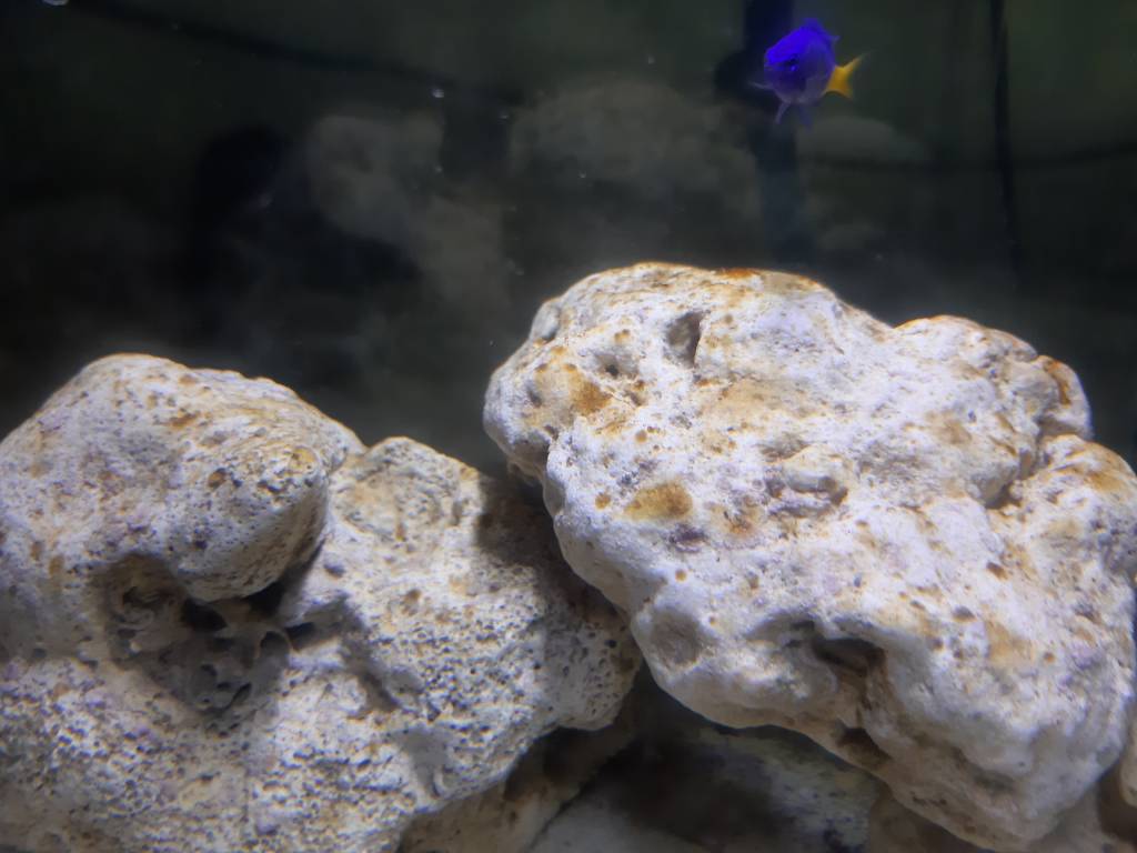 20190505_140402.jpeg