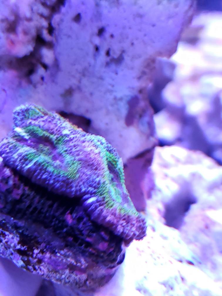 20190506_192906.jpeg