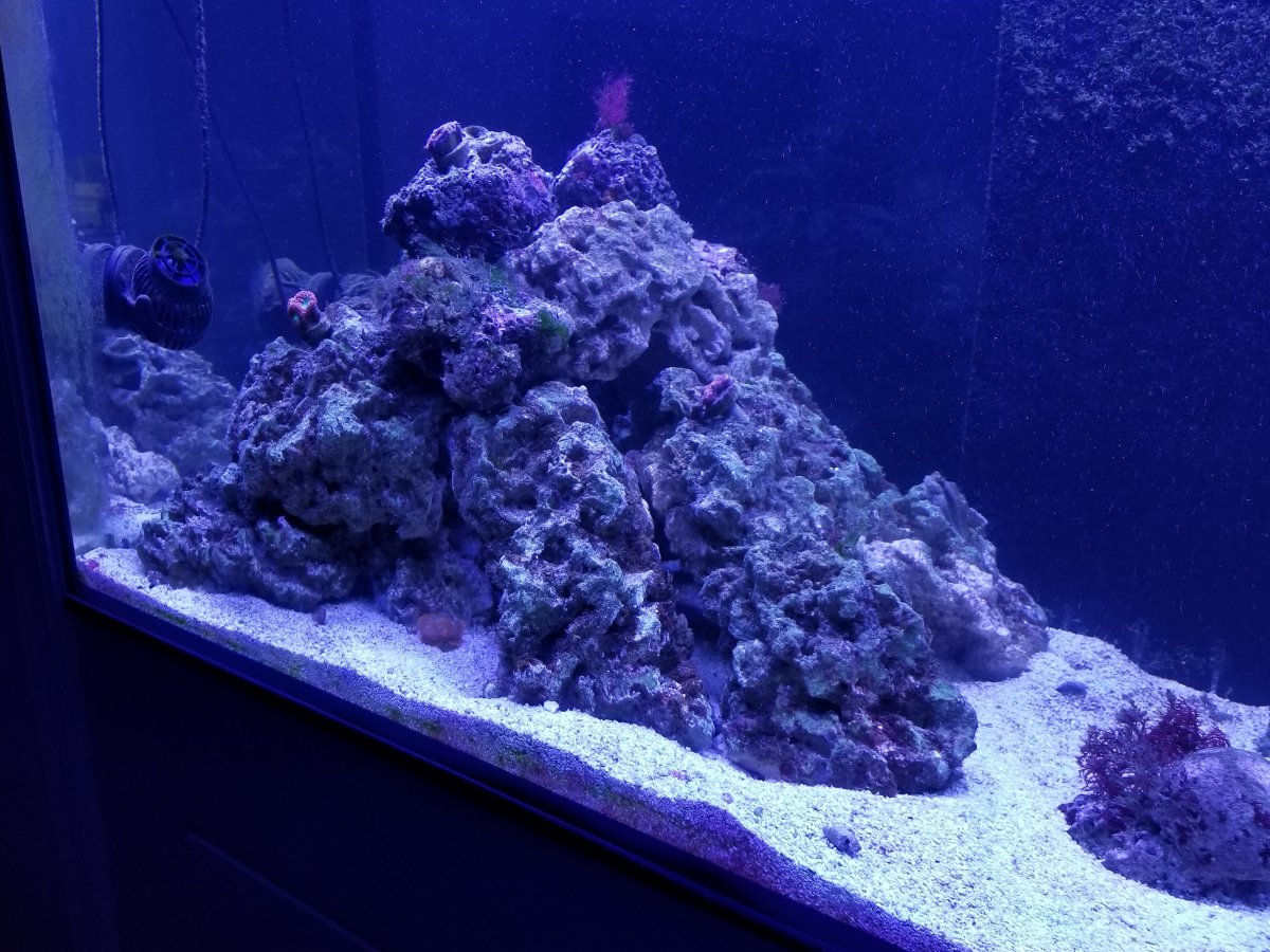 20190508_201504.jpg