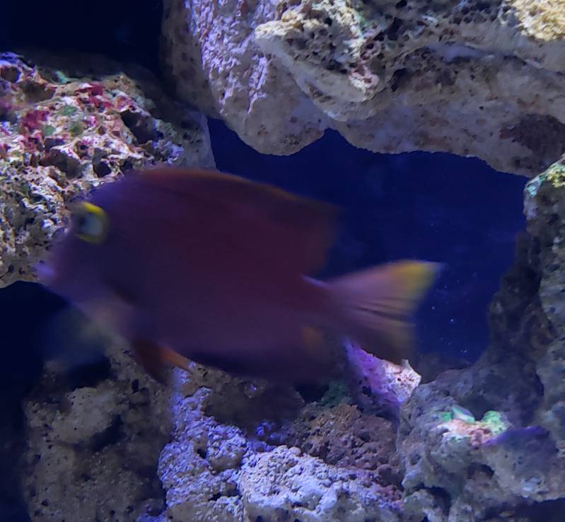 20190509_073116.jpeg
