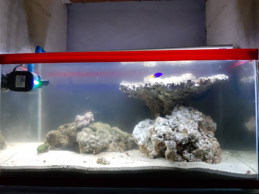 20190509_180918.jpeg