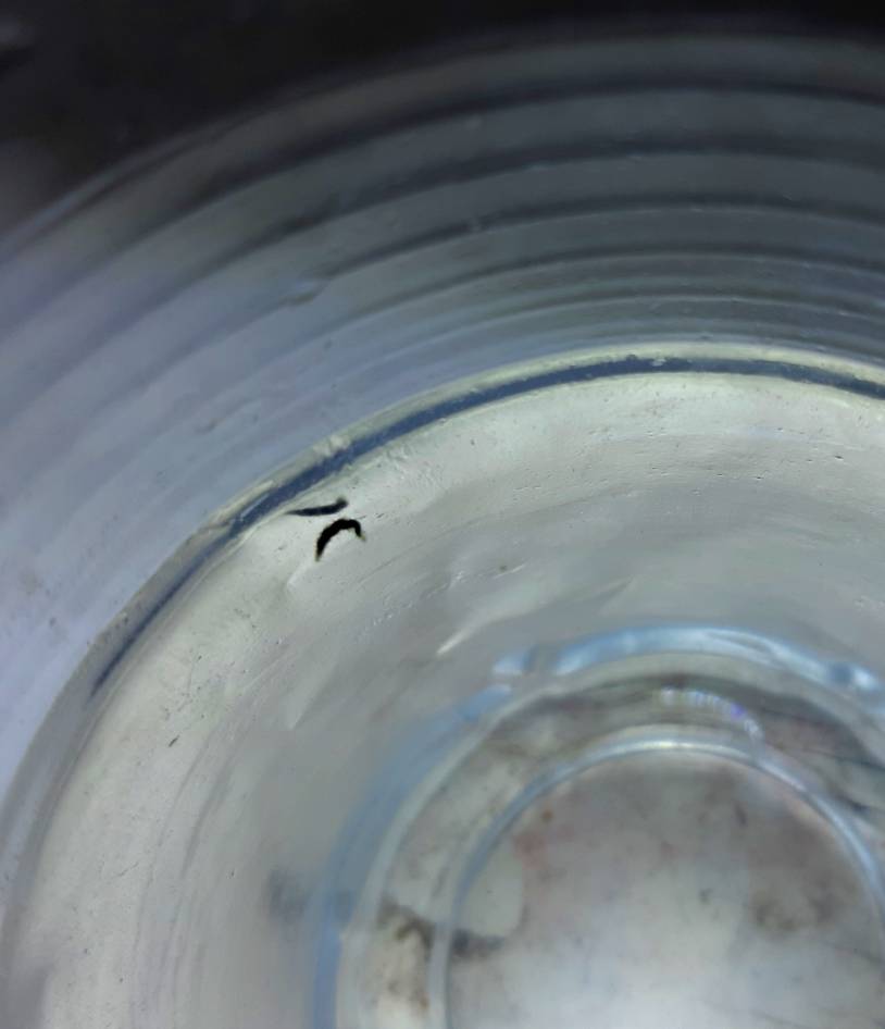 20190509_213421.jpeg