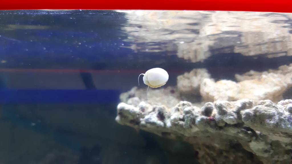20190510_175821.jpeg