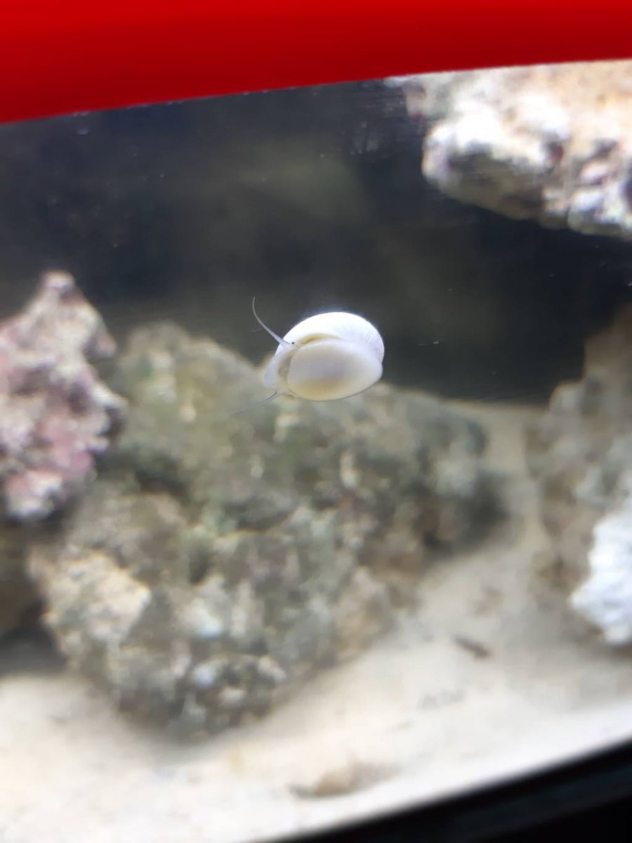 20190510_175932.jpeg