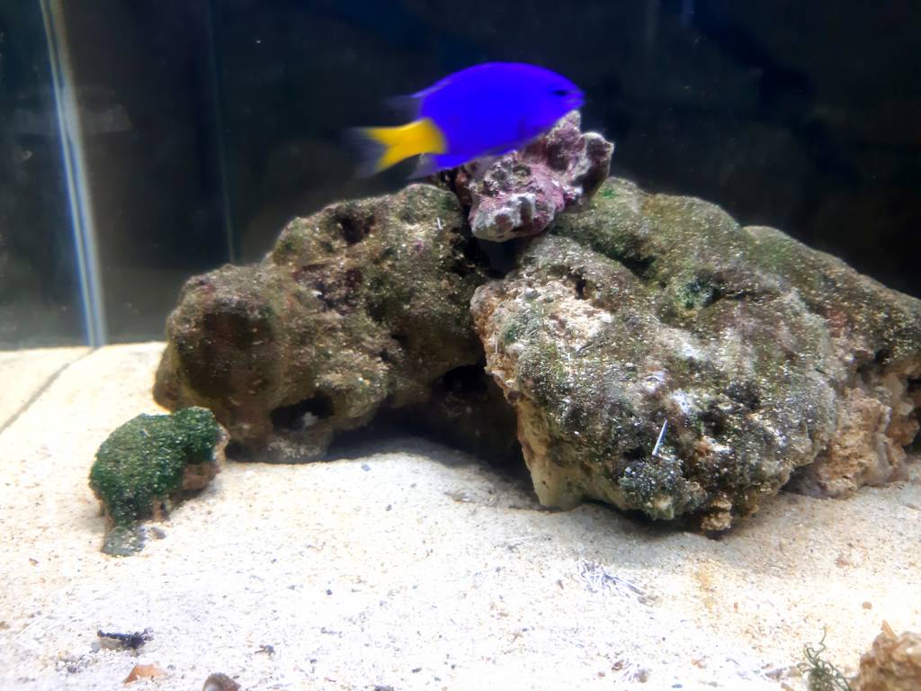 20190510_180125.jpeg