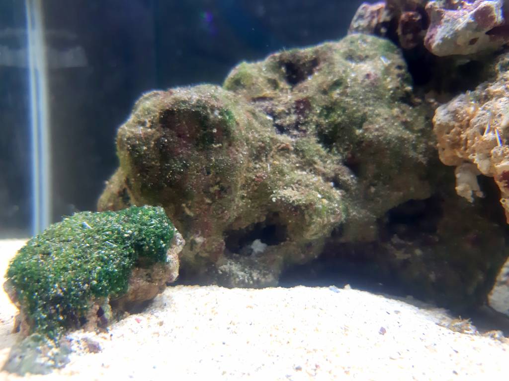 20190510_180529.jpeg