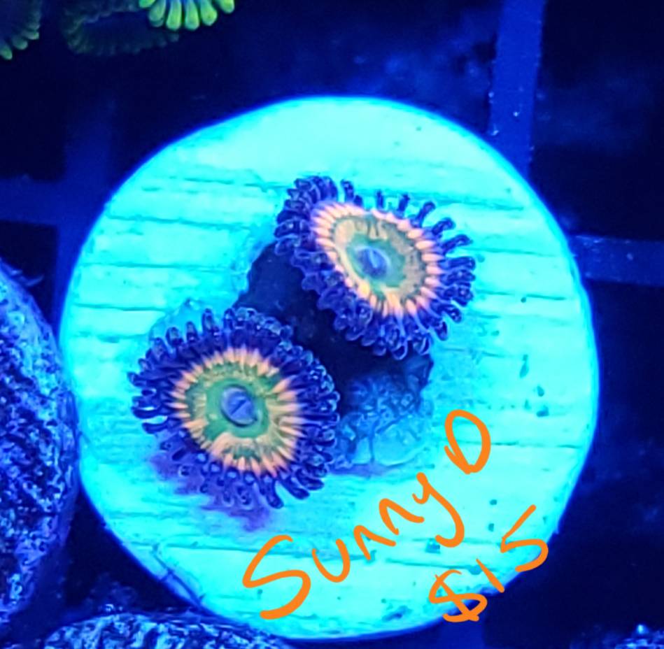 20190511_192602.jpeg