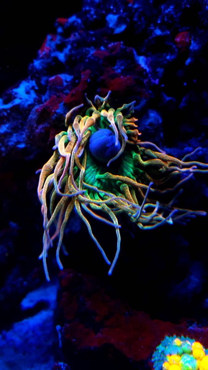 20190511_204215.jpg