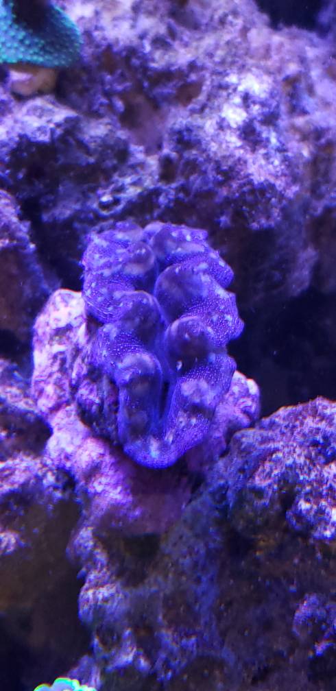 20190512_090949.jpeg
