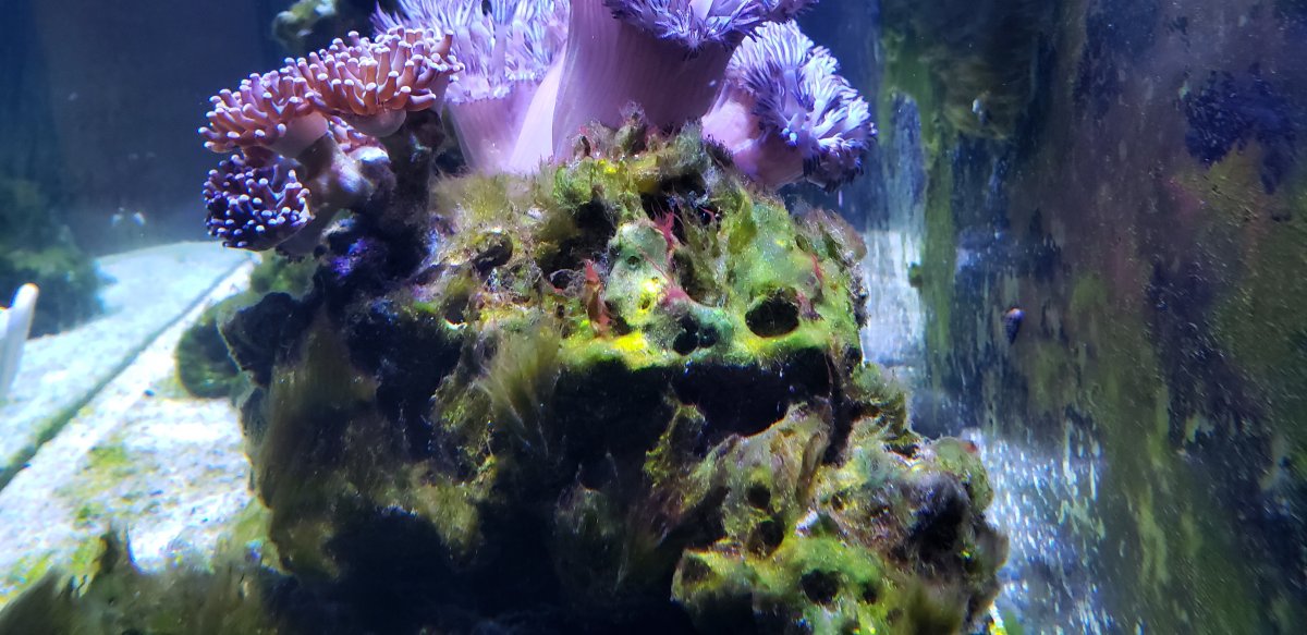 20190512_092235.jpg
