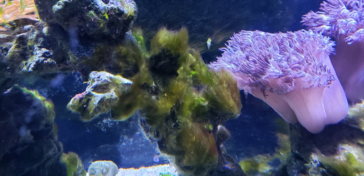 20190512_092245.jpg