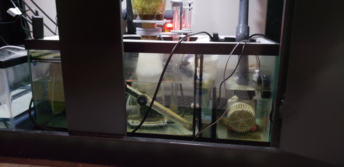 20190512_092531.jpg