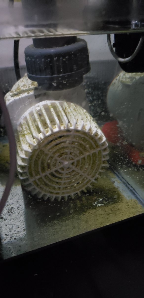 20190512_092613.jpg