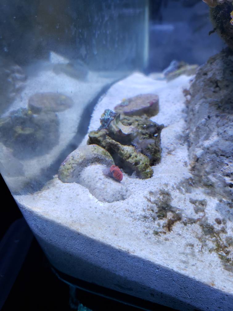 20190512_144138.jpeg