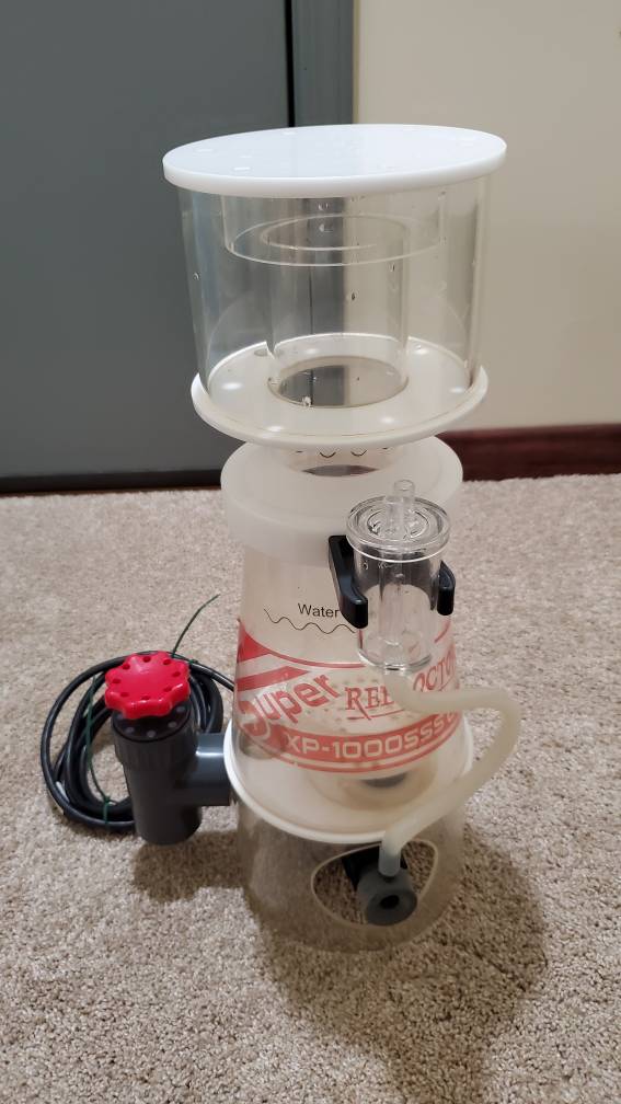 20190512_205126.jpeg