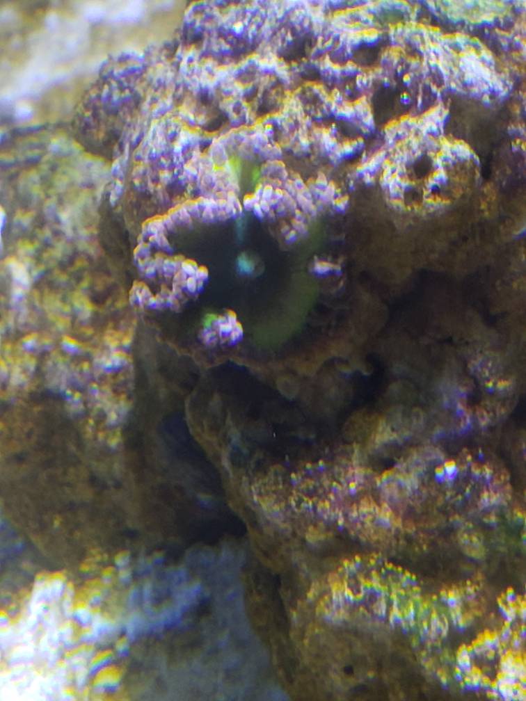 20190514_132431.jpeg