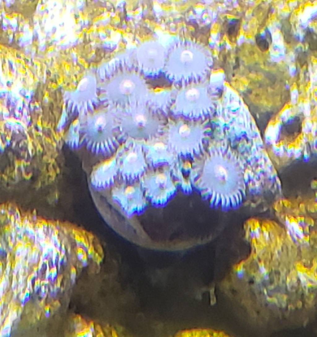 20190514_133048.jpeg