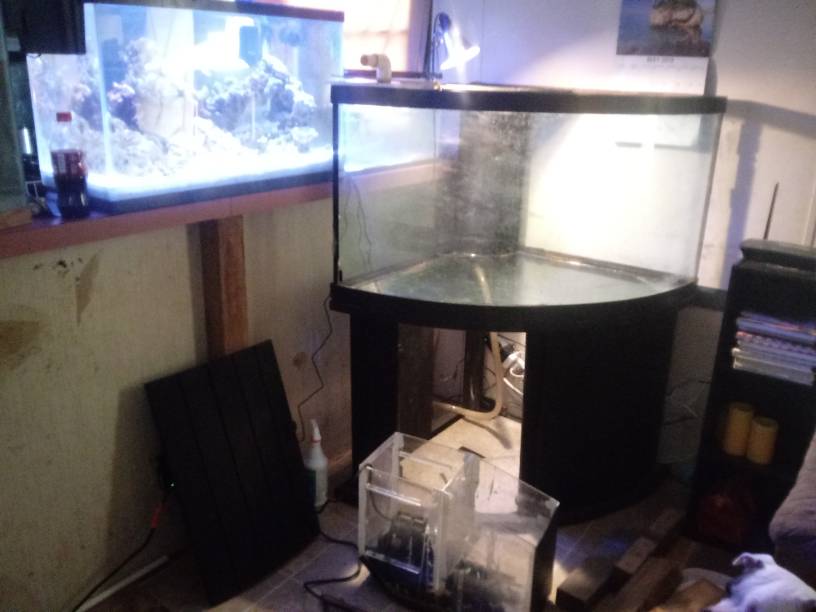 20190514_135815.jpeg