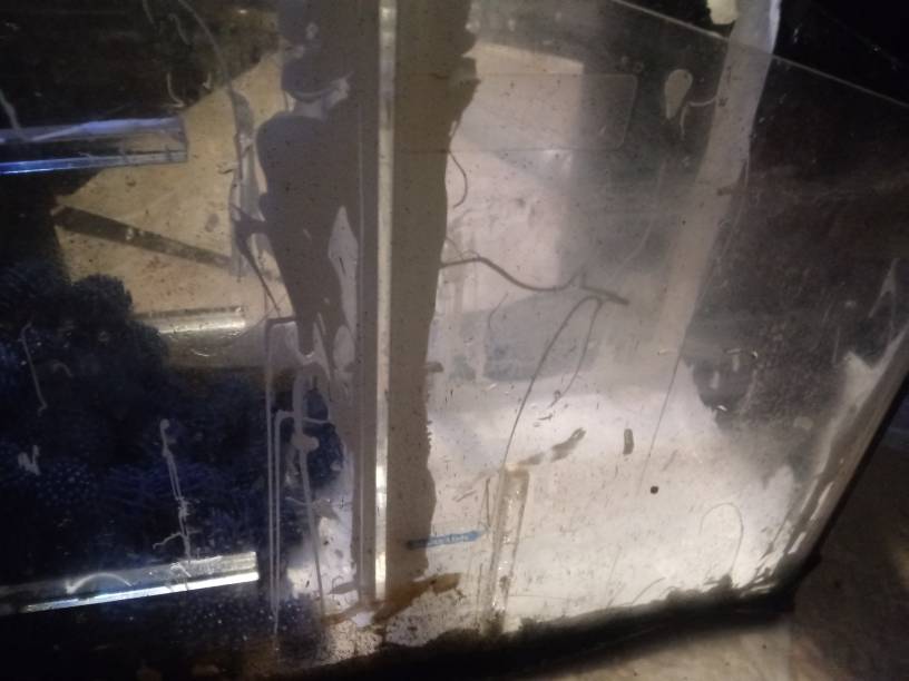 20190514_143709.jpeg