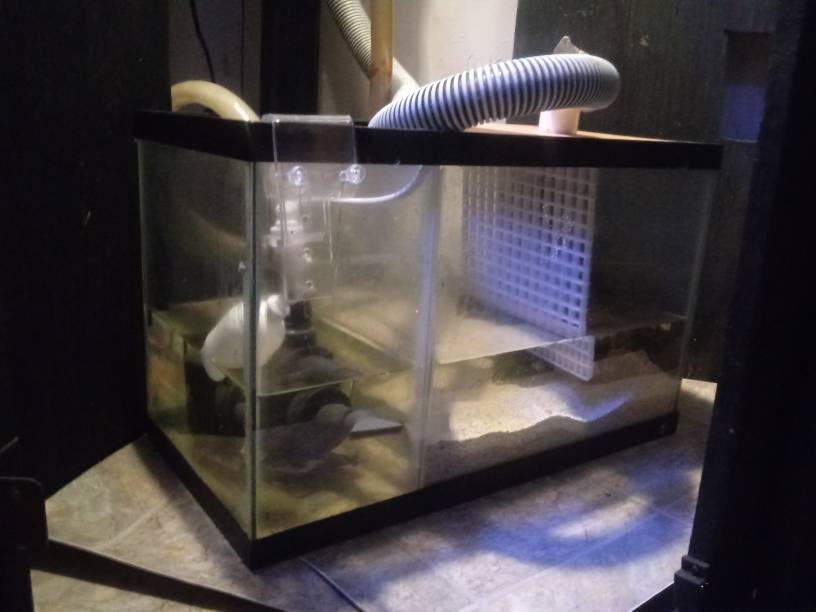 20190514_145442.jpeg
