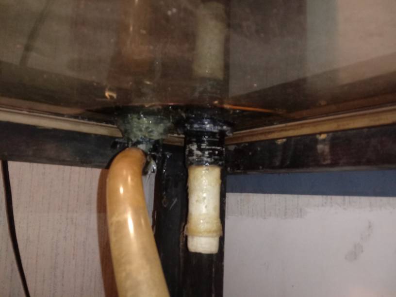 20190515_052205.jpeg