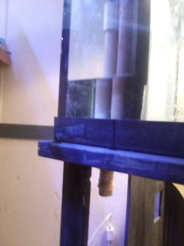20190515_114459.jpeg