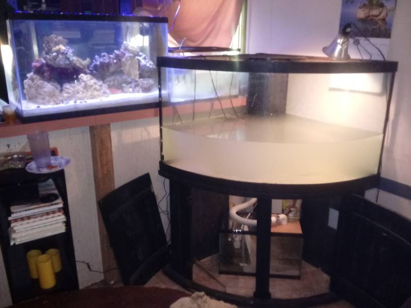 20190515_134626.jpeg
