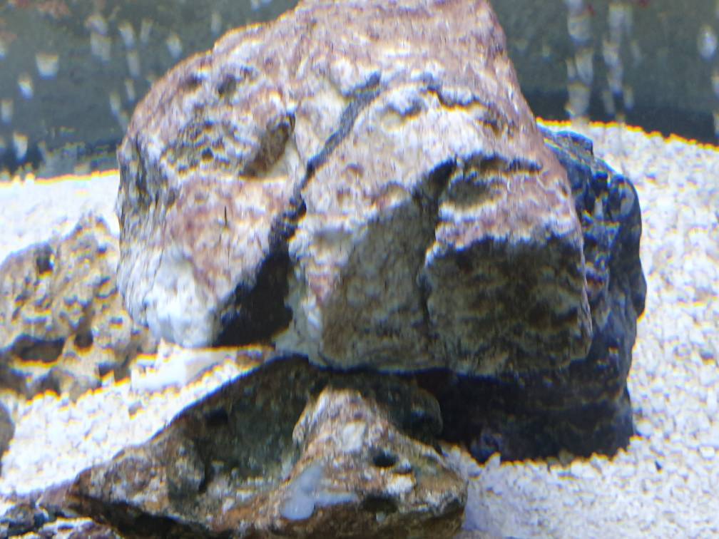 20190515_162456.jpeg