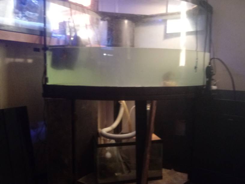 20190516_085551.jpeg