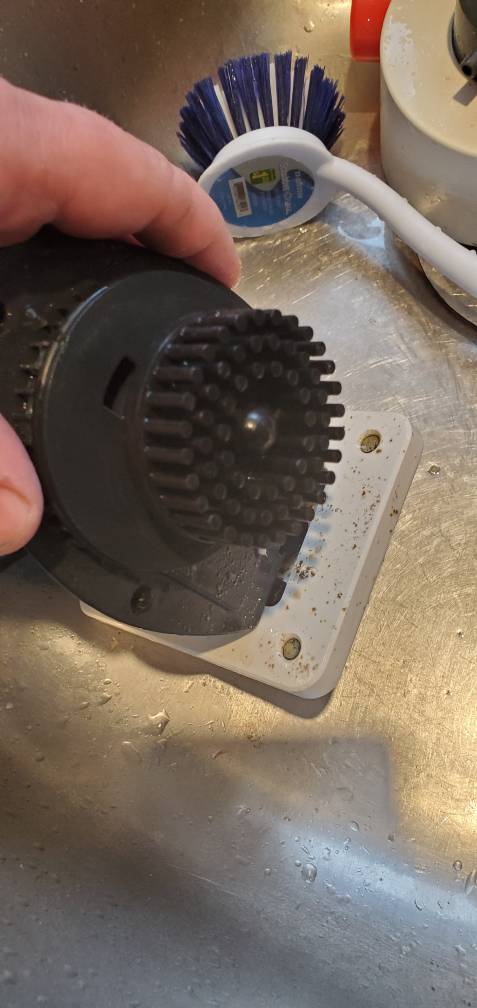 20190516_184627.jpeg