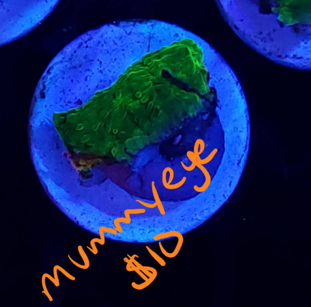 20190516_202254.jpeg