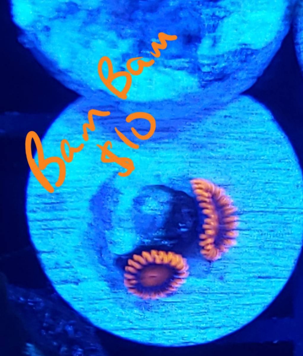 20190516_202714.jpeg