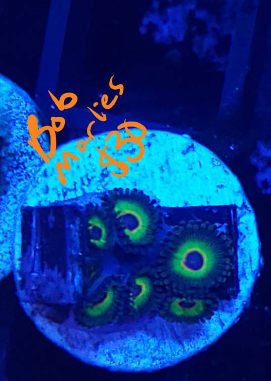 20190516_202741.jpeg