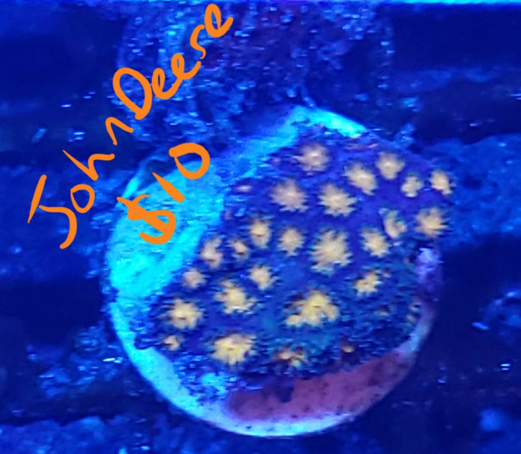 20190516_202827.jpeg